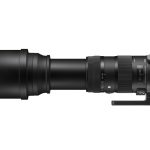 SIGMA AF 150-600mm f/5-6.3