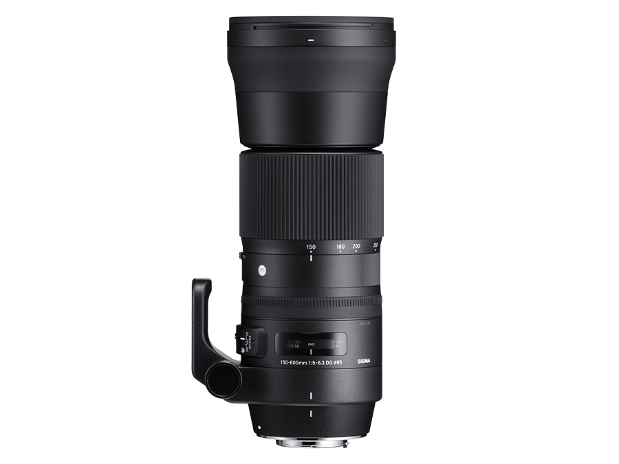 sigma 150 600mm f 5 6.3 dg os hsm vs tamron