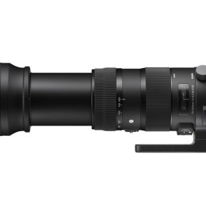 SIGMA AF 150-600mm Contemporary